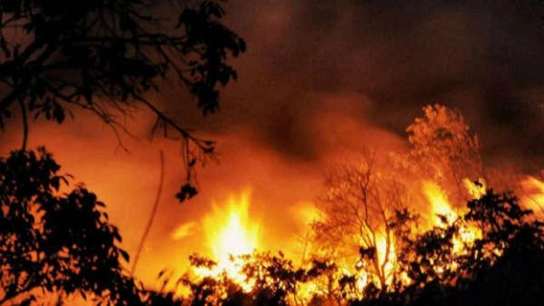 ಚಾಮುಂಡಿ ಬೆಟ್ಟದಲ್ಲಿ ಬೆಂಕಿ: ಬೆಂಕಿ ನಂದಿಸಲು ಅಗ್ನಿ ಶಾಮಕದಳ ಹರಸಾಹಸ- 9 ಎಕರೆ ಕಾಡು ನಾಶ