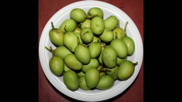 Appe Midi Fair : ಬೆಂಗಳೂರು: ಮೊದಲ ಬಾರಿಗೆ ಏ.12-13ರಂದು ಉಪ್ಪಿನಕಾಯಿಗೆ ಹೆಸರಾದ ಅಪ್ಪೆಮಿಡಿ ಮೇಳ, ವಿವರ ತಿಳಿಯಿರಿ