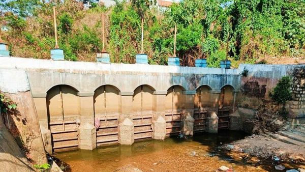 ಕೆ.ಆರ್‍.ನಗರದಲ್ಲಿ ಬತ್ತಿದ ನೀರಿನ ಸೆಲೆ: ಒಣಗಿದ ಭತ್ತದ ಬೆಳೆ, ರೈತ ಕಂಗಾಲು