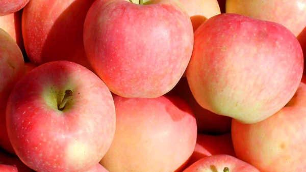 ಕೆಜಿಗೆ 50 ರೂ.ಗಿಂತ ಕಡಿಮೆ ಇರುವ ಆಪಲ್ ಆಮದು ನಿಷೇಧ