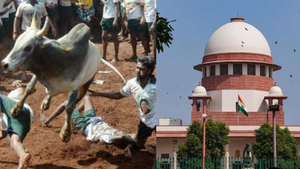 ಜಲ್ಲಿಕಟ್ಟು ಪ್ರಶ್ನಿಸಿ ಅರ್ಜಿಗಳ ಸಲ್ಲಿಕೆ: ಇಂದು ಹೊರಬೀಳಲಿದೆ ಸುಪ್ರೀಂ ಕೋರ್ಟ್‌ನ ಮಹತ್ವದ ತೀರ್ಪು