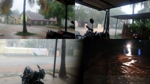 ಚಿಕ್ಕಮಗಳೂರಿನಲ್ಲಿ ಲಕ್ಷಾಂತರ ರೂಪಾಯಿ ಮೌಲ್ಯದ ಬೆಳೆಗಳನ್ನು ನುಂಗಿದ ಮಳೆರಾಯ, ಅನ್ನದಾತ ಕಾಂಗಾಲು