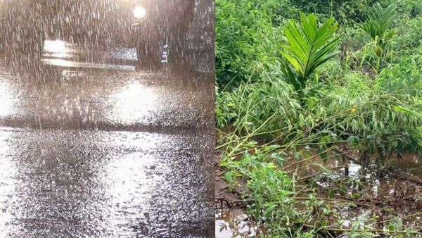  ಮುಂಗಾರು ಪೂರ್ವ ಮಳೆಗೆ ದಾವಣಗೆರೆ ಜಿಲ್ಲೆಯ ಹಲವೆಡೆ ಕೃಷಿ ಬೆಳೆ ನಾಶ, ನೊಂದ ರೈತರ ಬೇಡಿಕೆಗಳೇನು?