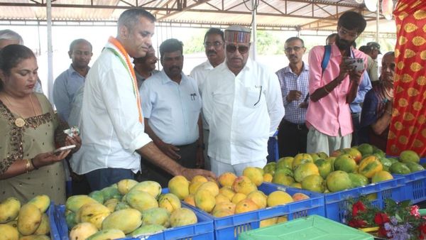 ಕೊಡಗಿನಲ್ಲಿ ಜನರನ್ನು ಸೆಳೆದ ಮಾವು ಮತ್ತು ಹಲಸು ಮೇಳ 