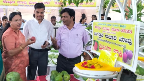 ಕೊಪ್ಪಳಕ್ಕೆ ಬಂದಿದೆ ಜಗತ್ತಿನ ದುಬಾರಿ ಮಾವು; ಕೆಜಿಗೆ 2.50 ಲಕ್ಷ! 