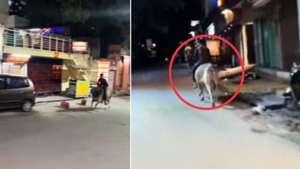 Man riding bull: ಗೂಳಿ ಮೇಲೆ ಸವಾರಿ ಮಾಡಿದ ಭೂಪ- ವಾಹನ ಸವಾರರು ಕಕ್ಕಾಬಿಕ್ಕಿ- ವಿಡಿಯೋ