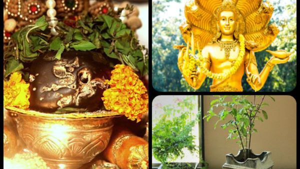 Nirjala Ekadashi 2023: ನಿರ್ಜಲ ಏಕಾದಶಿಯ ದಿನದಂದು ಈ ಐದು ವಸ್ತುಗಳಿಂದ ಮನೆಗೆ ಸಂತೋಷ, ಸಮೃದ್ಧಿ