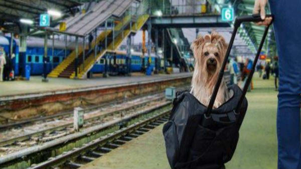 ರೈಲಿನಲ್ಲಿ ಸಾಕುಪ್ರಾಣಿಗಳನ್ನು ಕರೆದುಕೊಂಡಲು ಹೋಗಲು ಬುಕ್ಕಿಂಗ್‌?