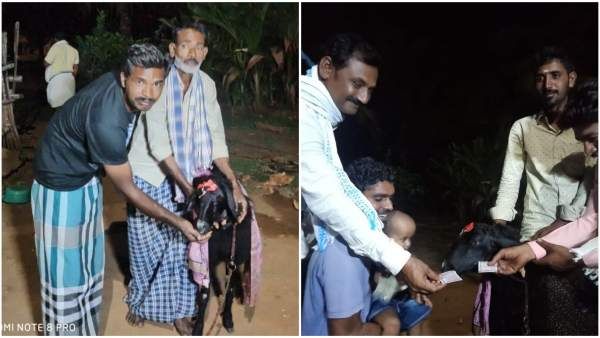 ಕೇಕ್‌ ಕತ್ತರಿಸಿ ಕುರಿ ಹುಟ್ಟುಹಬ್ಬ ಆಚರಿಸಿದ ರೈತ: ಗಿಫ್ಟ್‌ ನೀಡಿ ಸಂಭ್ರಮಿಸಿದ ಗ್ರಾಮಸ್ಥರು