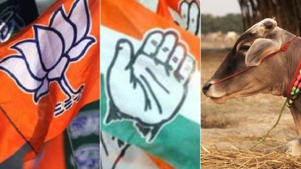 ಮತ್ತೆ ಧರ್ಮದಂಗಲ್‌ : ಈ ಬಾರಿ ಗೋವು ಹಾಯುವುದು ಬಿಜೆಪಿಗೋ, ಕಾಂಗ್ರೆಸ್ಸಿಗೋ?