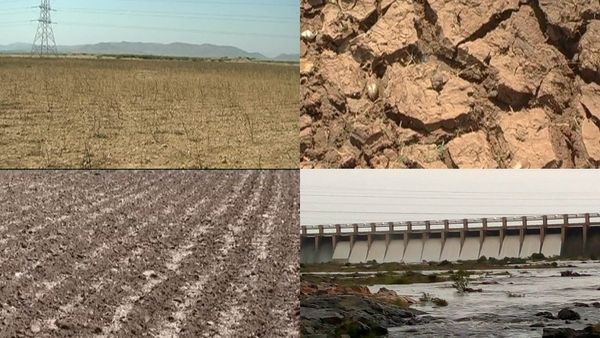 ಮಳೆ ಕೊರತೆ: ಬರಿದಾಗುತ್ತಿದೆ ಈ ಜಲಾಶಯ, ಗಣಿನಾಡು ಬಳ್ಳಾರಿ ಜಿಲ್ಲೆಯಲ್ಲಿ ಆವರಿಸಿದ ಬರದ ಛಾಯೆ, ಅನ್ನದಾತ ಕಂಗಾಲು