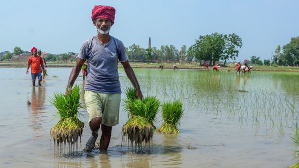 ರೈತರಿಂದಲೇ ಮೊಬೈಲ್ ಅಪ್ಲಿಕೇಶನ್ ಮೂಲಕ ಬೆಳೆ ಸಮೀಕ್ಷೆ 