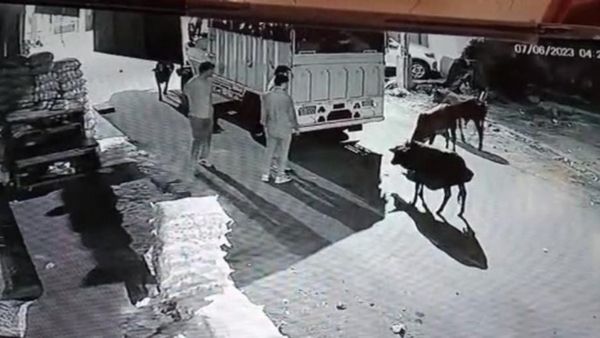 ಹಿರಿಯೂರು ಪೊಲೀಸರ ಮಿಂಚಿನ ಕಾರ್ಯಾಚರಣೆ: 8 ಮಂದಿ ಅಂತರ್ ರಾಜ್ಯ ದನಗಳ್ಳರ ಬಂಧನ