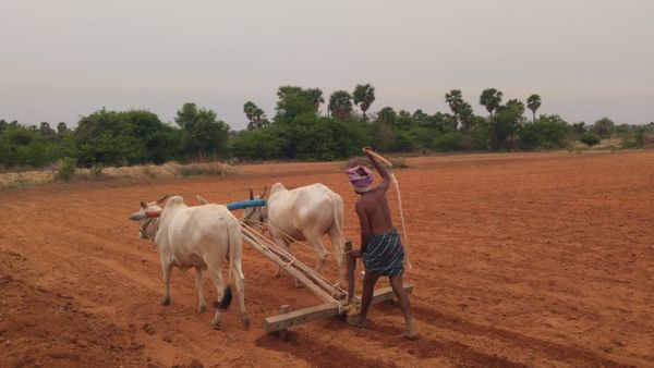 ಮುಂಗಾರು ಹಂಗಾಮು; ಕೃಷಿ ಚಟುವಟಿಕೆಗೆ ಸಹಕಾರ ನೀಡಲು ಡಿಸಿ ಸೂಚನೆ 