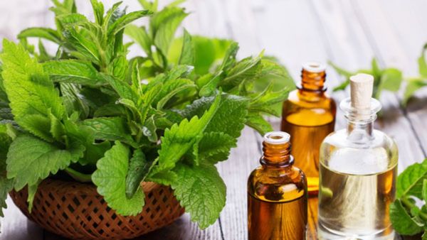 ನಿಮ್ಮ ಜೀವನದೊಂದಿಗೆ ಸುಗಂಧದ ಬೆಸುಗೆ - ಪರಿಣಾಮ ಮತ್ತು ಪ್ರಯೋಜನಗಳು ಇಲ್ಲಿವೆ..