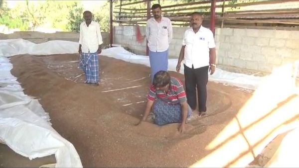 ರೈತರಿಂದ ರಾಗಿ ಖರೀದಿಸಿ 51 ಕೋಟಿ ರೂಪಾಯಿ ಬಾಕಿ ಉಳಿಸಿಕೊಂಡ ಸರ್ಕಾರ: ಸಂಕಷ್ಟದಲ್ಲಿ ಅನ್ನದಾತ