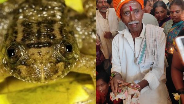 ಕಲಘಟಗಿ: ಮಳೆಗಾಗಿ ಕಪ್ಪೆಗಳಿಗೆ ಮದುವೆ ಮಾಡಿದ ಸುರಶೆಟ್ಟಿಕೊಪ್ಪ ಗ್ರಾಮಸ್ಥರು