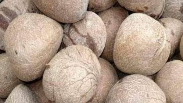 ಕೊಬ್ಬರಿ ದರ ತೀವ್ರ ಕುಸಿತದಿಂದ ಕಂಗಾಲಾದ ರೈತರು: ನೆರವಿಗೆ ಬರುತ್ತಾ ಸರ್ಕಾರ?