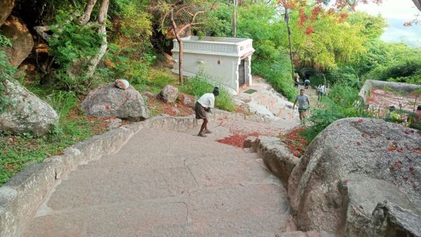 ನಿಮಗಿದು ಗೊತ್ತೇ? ಚಾಮುಂಡಿ ಬೆಟ್ಟದ ಪರಿಸರ ಕಾಪಾಡುವುದು ಈ ಮಹದೇವ! 