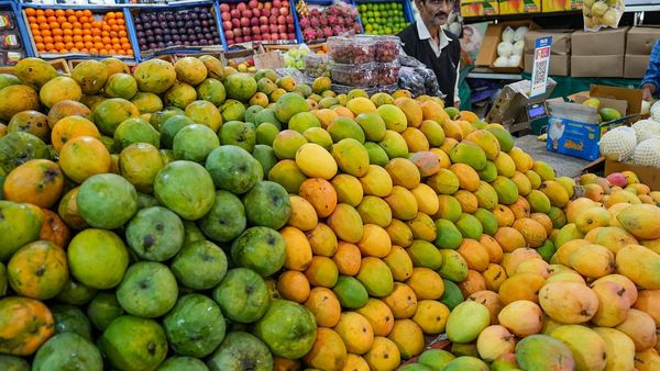 ಜೂನ್ 2 ರಿಂದ ಲಾಲ್‌ಬಾಗ್‌ನಲ್ಲಿ ವಾರ್ಷಿಕ ಮಾವು ಮೇಳ: ವಿವರಗಳು