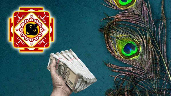 Vastu Tips In kannada: ಮನೆಯಲ್ಲಿ ಹೆಚ್ಚು ಹಣ ಸಂಗ್ರಹಿಸಲು ಬಯಸುವಿರಾ? ಹಾಗಾದರೆ ನವಿಲು ಗರಿಯನ್ನು ಈ ದಿಕ್ಕಿನಲ್ಲಿ ಇರಿಸಿ...