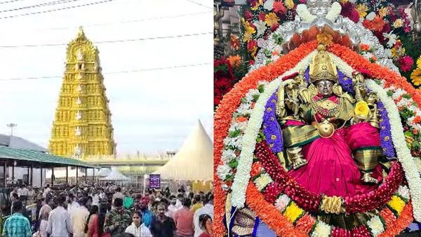 ಆಷಾಢ ಶುಕ್ರವಾರ ಸಂಭ್ರಮ: ತಾಯಿ ಚಾಮುಂಡಿ ದರ್ಶನಕ್ಕೆ ಹರಿದು ಬಂತು ಭಕ್ತಸಾಗರ