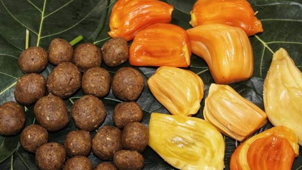 ಸಾಂಸ್ಕೃತಿಕ ನಗರಿ ಮೈಸೂರಿನಲ್ಲಿ ಹಲಸಿನ ಹಬ್ಬಕ್ಕೆ ಎರಡನೇ ದಿನವೂ ಉತ್ತಮ ಸ್ಪಂದನೆ