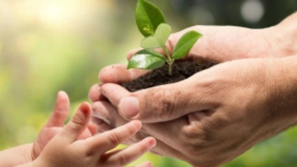 ವನಮಹೋತ್ಸವ ಸಪ್ತಾಹಕ್ಕೆ ಸಾಂಸ್ಕೃತಿಕ ನಗರಿ ಮೈಸೂರಿನಲ್ಲಿ ಭರ್ಜರಿ ಸಿದ್ಧತೆ, 1 ಲಕ್ಷಕ್ಕೂ ಹೆಚ್ಚು ಗಿಡ ನೆಡುವ ಗುರಿ