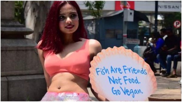 ಮೀನುಗಳನ್ನು ಸ್ನೇಹಿತರಂತೆ ನೋಡಿ: ಬೆಂಗಳೂರು ಜನತೆಗೆ ಮನವಿ ಮಾಡಿದ ಮತ್ಸ್ಯಕನ್ಯೆ