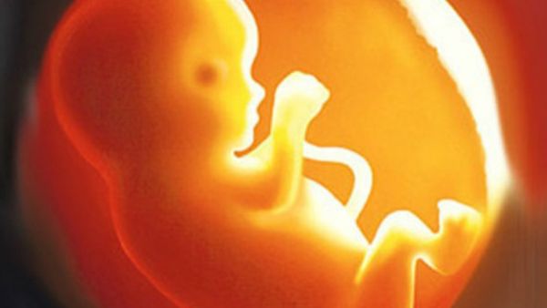 International: ಮನುಷ್ಯನ ಅಂಡಾಣು-ವೀರ್ಯಾಣು ಇಲ್ಲದೇ ಭ್ರೂಣ ನಿರ್ಮಾಣ