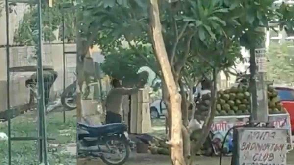 Coconut: ಎಳನೀರು ತಾಜಾವಾಗಿಡಲು ಚರಂಡಿ ನೀರು ಚುಮುಕಿಸಿದ ವ್ಯಾಪಾರಿ- ವಿಡಿಯೋ ವೈರಲ್