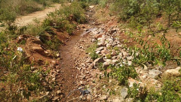 ರಾಯಚೂರು: ನಾರಾಯಣಪುರ ಬಲದಂಡೆ ನಾಲೆಗಳ ಅಪೂರ್ಣ ಕಾಮಗಾರಿ, ರೈತರಿಗೆ ಸಂಕಷ್ಟ