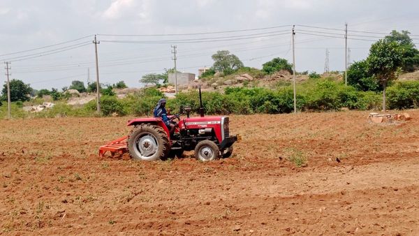 ರಾಯಚೂರು: ಮಳೆ ವಿಳಂಬ, ಪರ್ಯಾಯ ಬೆಳೆಯತ್ತ ರೈತರ ಚಿತ್ತ 