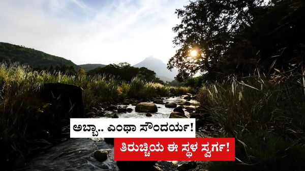 ಅಬ್ಬಾ.. ಎಂಥಾ ಸೌಂದರ್ಯ! ತಿರುಚ್ಚಿಯ ಈ ಸ್ಥಳ ಸ್ವರ್ಗ! ಬೆಂಗಳೂರಿನಿಂದ ಇಷ್ಟೇ ದೂರದಲ್ಲಿದೆ ಪುಲಿಂಚೋಲೈ....