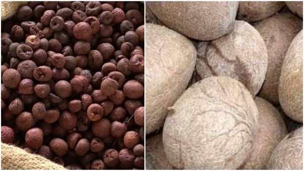 Arecanut: 57,000 ದಾಟಿದ ಬಳಿಕ ಕುಸಿದ ಅಡಿಕೆ ದರ: ಕೊಬ್ಬರಿ ಮತ್ತು ಅಡಿಕೆ ಧಾರಣೆ 