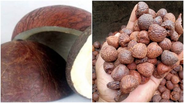  Arecanut Price: ಏರಿಕೆಯಾಗುತ್ತಿದೆ ಅಡಿಕೆ, ಕೊಬ್ಬರಿ ಧಾರಣೆ : ಇತ್ತೀಚಿನ ಮಾರುಕಟ್ಟೆ ಬೆಲೆ