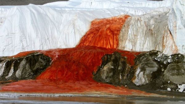 Blood Falls: ಬಯಲಾಯ್ತು ಅಂಟಾರ್ಕ್ಟಿಕಾದ ರಕ್ತಸಿಕ್ತ ಜಲಪಾತದ ರಹಸ್ಯ: ಇದರೊಳಗಿದೆ 'ಮತ್ತೊಂದು ಪ್ರಪಂಚ'