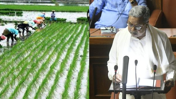 Karnataka budget 2023: ಕೃಷಿ ಕ್ಷೇತ್ರಕ್ಕೆ ಸಿಕ್ಕ ಕೊಡುಗೆ ಏನು?, ಇಲ್ಲಿದೆ ವಿವರ