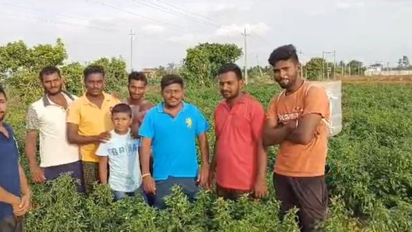 ಚಿತ್ರದುರ್ಗ: ಬೆಳೆಗಳಿಗೆ ರಸಗೊಬ್ಬರ ಹಾಕಲು ಭರಮಸಾಗರ ಯುವ ರೈತರ ಹೊಸ ಐಡಿಯಾ!
