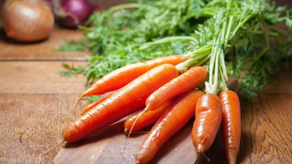 Carrot Health Benefits: ಪ್ರತಿದಿನ ಒಂದು ಕ್ಯಾರೆಟ್ ತಿನ್ನುವುದರಿಂದ ಆಗುವ ಲಾಭಗಳೇನು ಗೊತ್ತಾ?