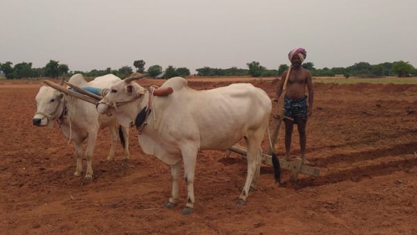 ಚಿತ್ರದುರ್ಗ: ಮರು ವಿನ್ಯಾಸಗೊಳಿಸಿದ ಹವಾಮಾನ ಆಧಾರಿತ ಬೆಳೆ ವಿಮೆ ಯೋಜನೆ, ವಿವರ ತಿಳಿಯಿರಿ