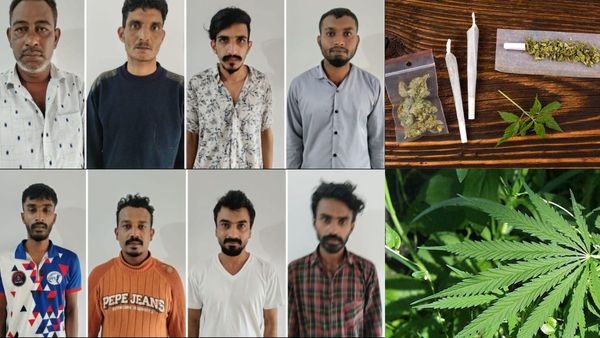 ಕೊಡಗಿನಲ್ಲಿ ಗಾಂಜಾ ವಾಸನೆ: ಪೊಲೀಸರ ಬಲೆಗೆ ಬಿದ್ದ 8 ಮಂದಿ ಆರೋಪಿಗಳು