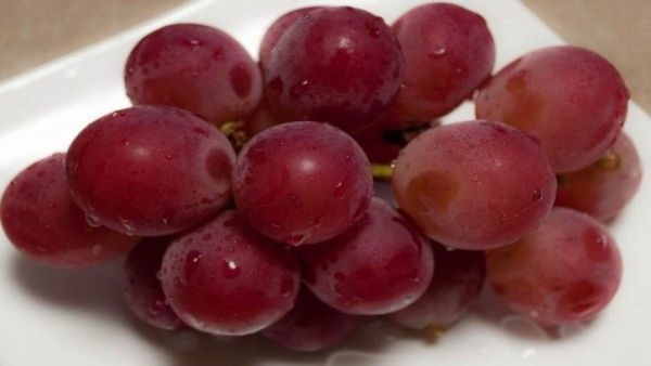 Grapes Health Benefits: ಖಾಲಿ ಹೊಟ್ಟೆಯಲ್ಲಿ ಪ್ರತಿದಿನ 5 ದ್ರಾಕ್ಷಿಯನ್ನು ತಿಂದರೆ ನಿಮ್ಮ ದೇಹದಲ್ಲಿ ಏನಾಗುತ್ತದೆ ಗೊತ್ತಾ?