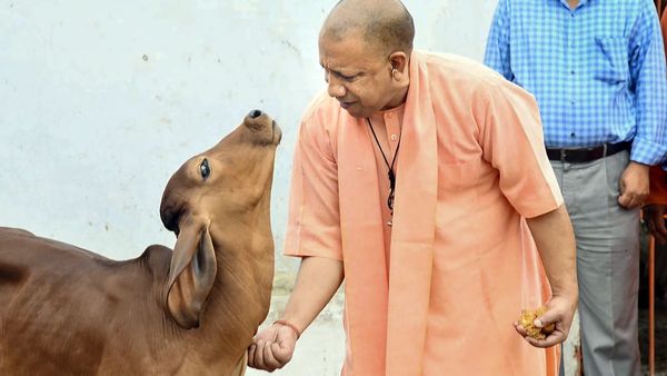 ಉತ್ತರ ಪ್ರದೇಶದ ಜಿಎಸ್‌ಟಿ ಸಂಗ್ರಹ 1,07,406 ಕೋಟಿಗೆ ಏರಿಕೆ