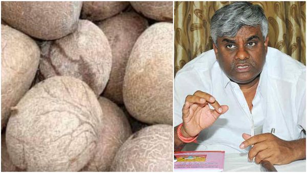 ಕೊಬ್ಬರಿ ದರ ಕುಸಿತ: ಬೆಂಬಲ ಬೆಲೆ ಘೋಷಿಸದಿದ್ದರೆ ಧರಣಿ ಕೂರ್ತೇನೆ ಎಂದ ಹೆಚ್‌ಡಿ ರೇವಣ್ಣ