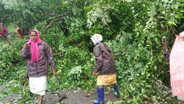 ಚಿಕ್ಕಮಗಳೂರು: ಮುಂದಿನ ಮೂರು ದಿನ ಭಾರೀ ಮಳೆ, ಹೈ ಅಲರ್ಟ್ ಘೋಷಿಸಿದ ಜಿಲ್ಲಾಡಳಿತ