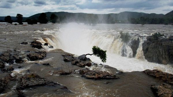 Hogenakkal: ಬೆಂಗಳೂರಿನ ಸಮೀಪದಲ್ಲಿರುವ ಈ ಅದ್ಭುತ ಹೊಗೆನಕಲ್ ಜಲಪಾತವನ್ನು ಮಿಸ್ ಮಾಡಬೇಡಿ