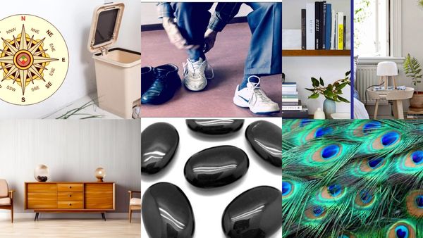 ಮನೆಯ ಉತ್ತರ ದಿಕ್ಕಿಗೆ ಈ ವಸ್ತುಗಳನ್ನು ಇಡಬೇಡಿ...ಇಲ್ಲದಿದ್ದರೆ ಆರ್ಥಿಕ ಸಂಕಷ್ಟಗಳೇ ಹೆಚ್ಚು...