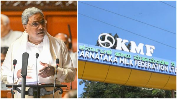 ಅನುಗ್ರಹ ಯೋಜನೆ ಮತ್ತೆ ಆರಂಭ: ಹೈನುಗಾರರಿಗೆ ಬಜೆಟ್‌ನಲ್ಲಿ ಸಿಕ್ಕಿದ್ದೇನು?