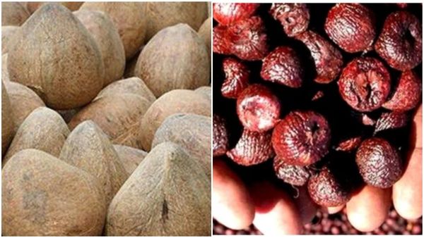  Arecanut And Copra Price: 10 ಸಾವಿರ ದಾಟಿದ ಕೊಬ್ಬರಿ ದರ: ಅಡಿಕೆ ಧಾರಣೆ ತಿಳಿಯಿರಿ